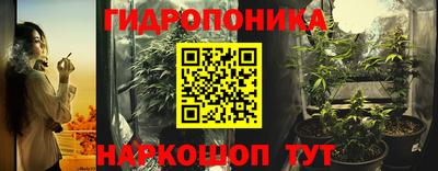 шишки Бузулук