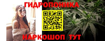 шишки Бузулук