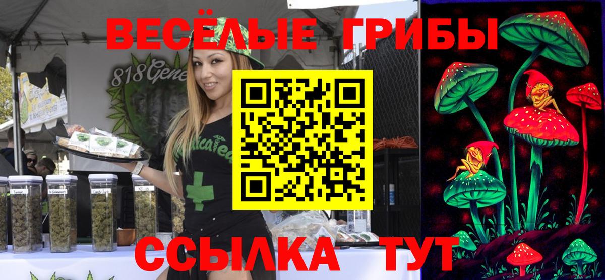 Галлюциногенные грибы Psilocybine cubensis  Галлюциногенные грибы прущие грибы  Новокуйбышевск  Вход с VPN 