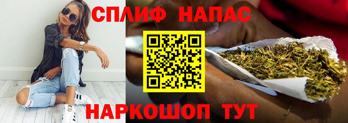 Конопля план Новокуйбышевск